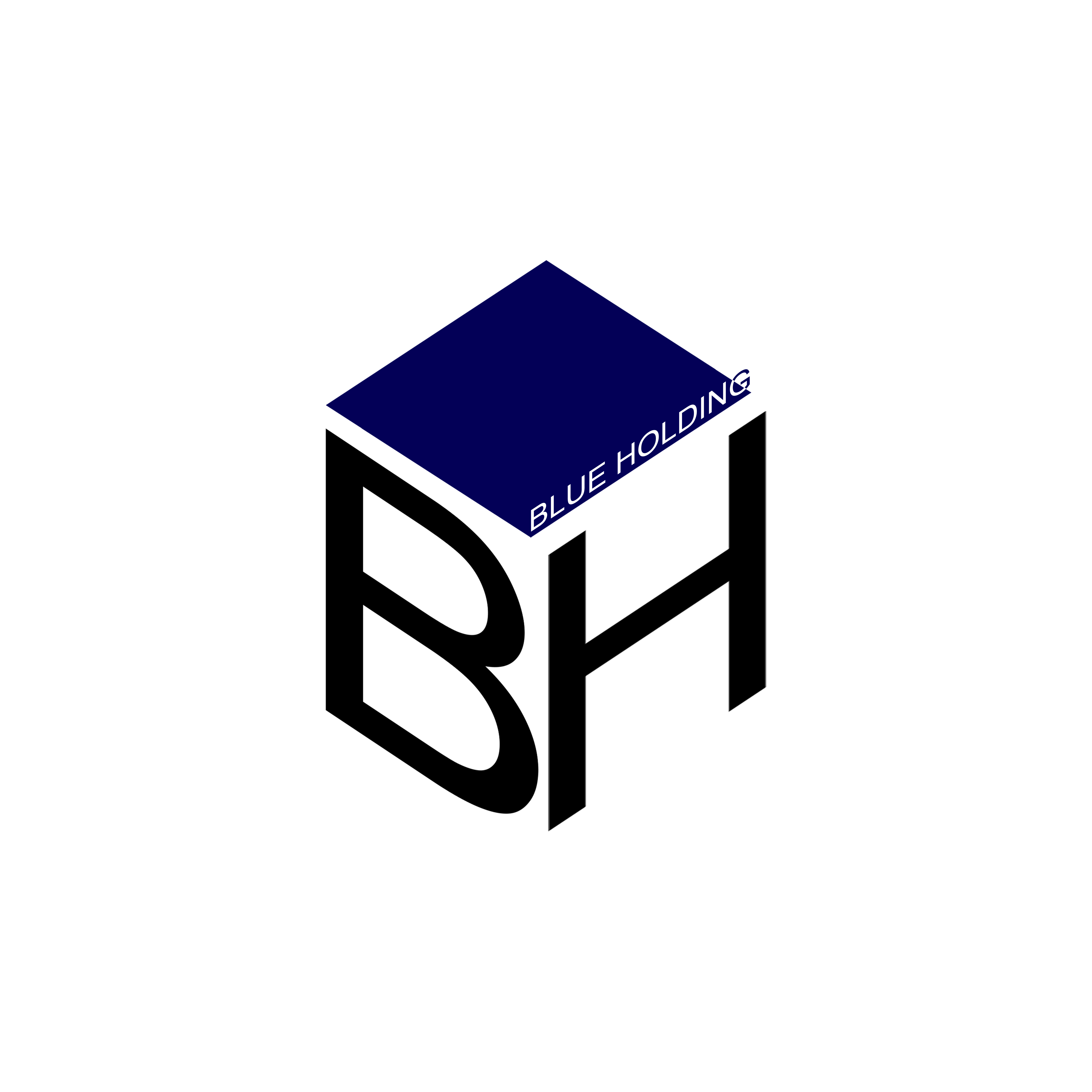 Blue Holding